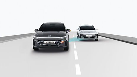 Verna Image