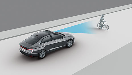 Verna Image